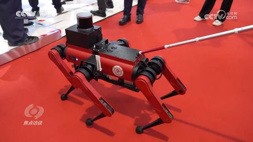 sxqby28777换哪了www44kjcom